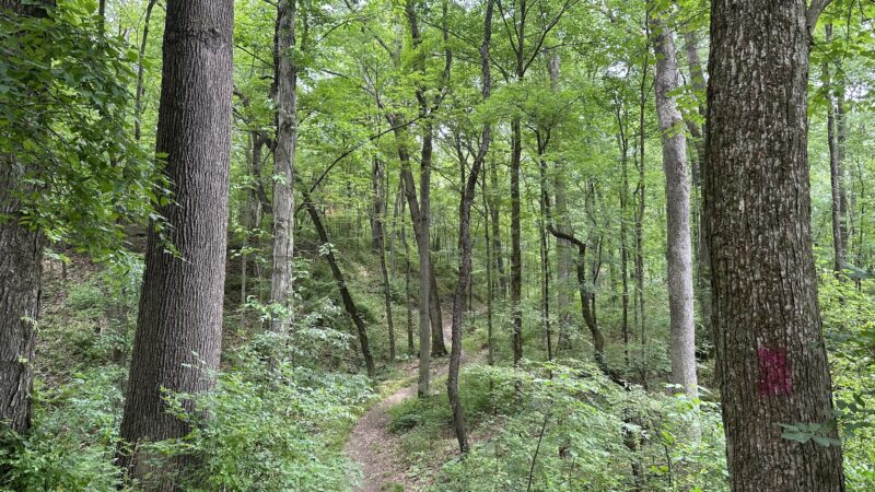 Spring Valley Park - Saxonburg, PA