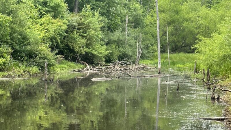 Spring Valley Park - Saxonburg, PA