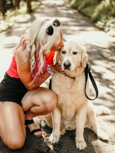 Say It Once Dog Training - Nashville - ,