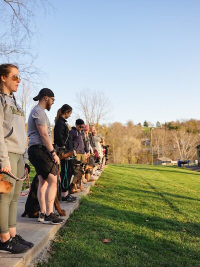 Say It Once Dog Training - Nashville - ,