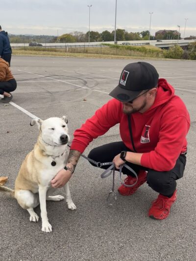 Say It Once Dog Training - Nashville - ,