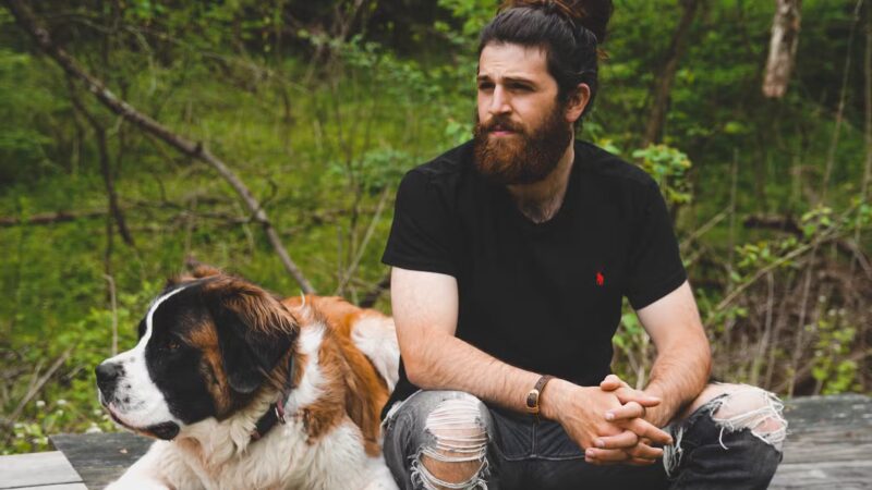 Say It Once Dog Training - Washington D.C. - ,