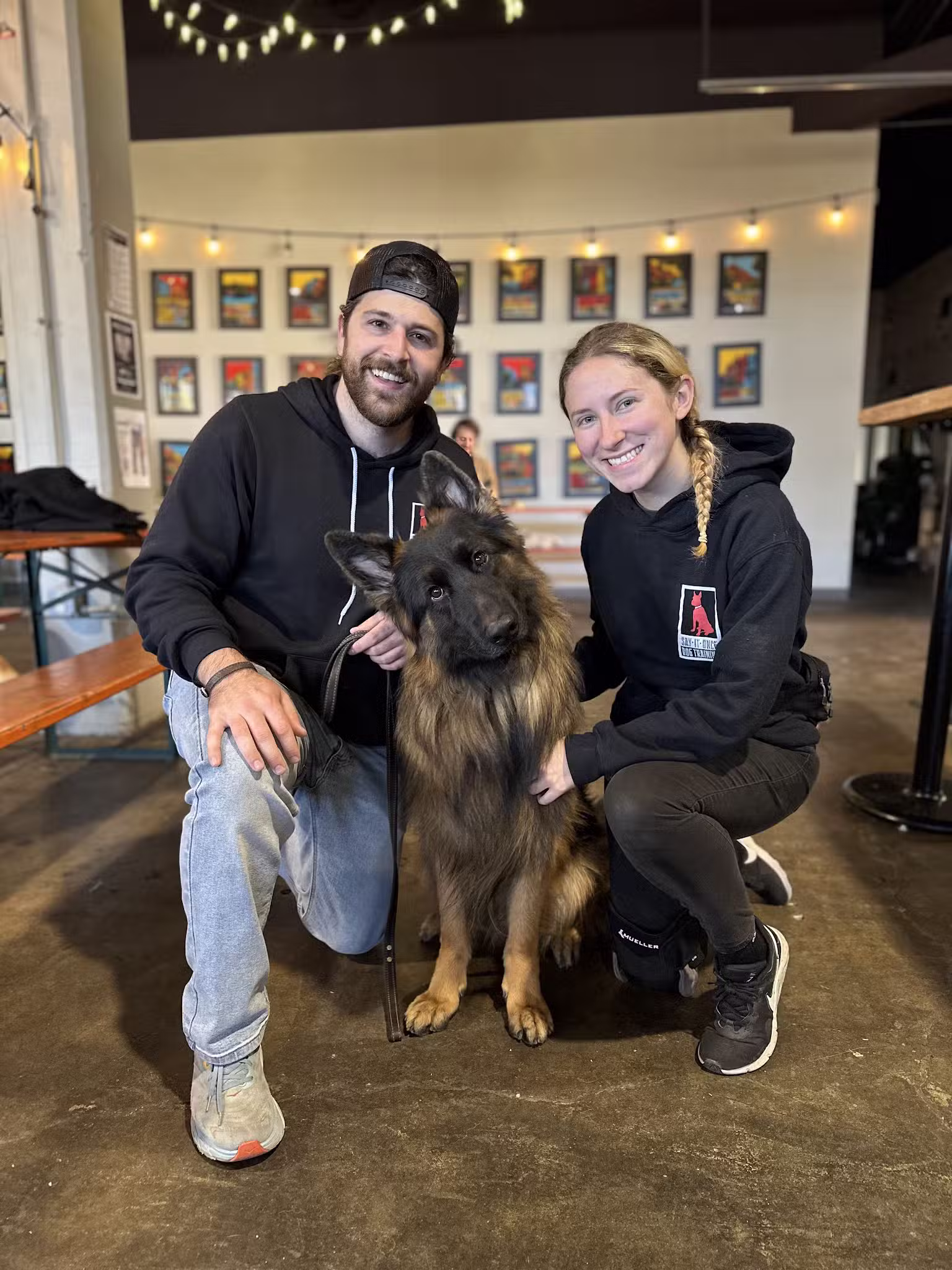 Say It Once Dog Training - Washington D.C. - ,