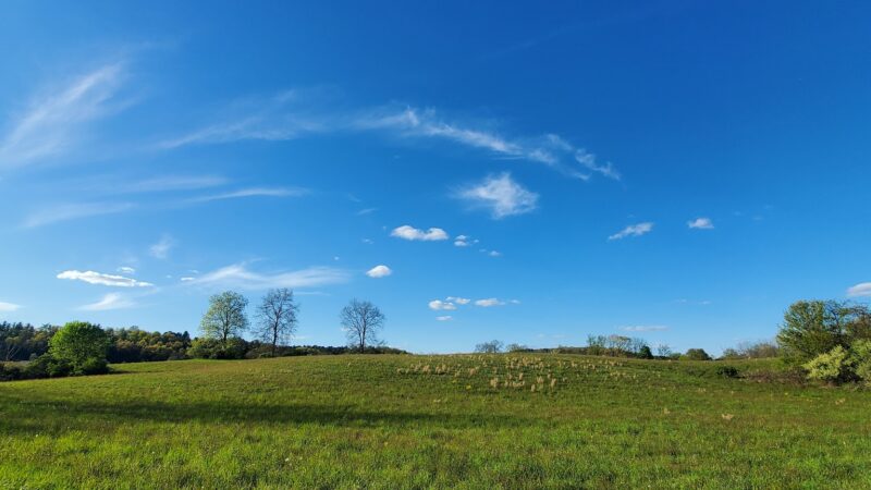 Van Buskirk Haney Park - Saylorsburg, PA