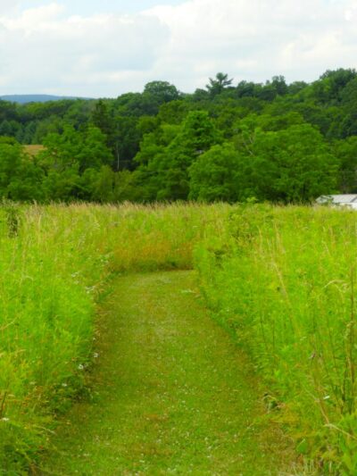 West End Regional Park - Saylorsburg, PA