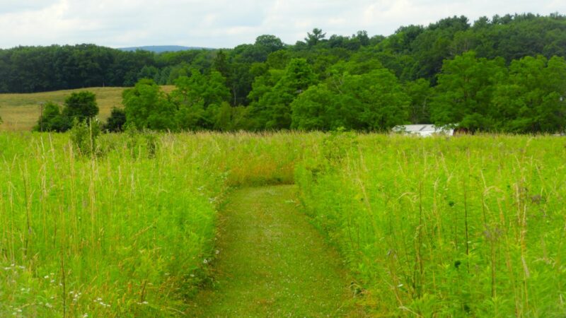 West End Regional Park - Saylorsburg, PA