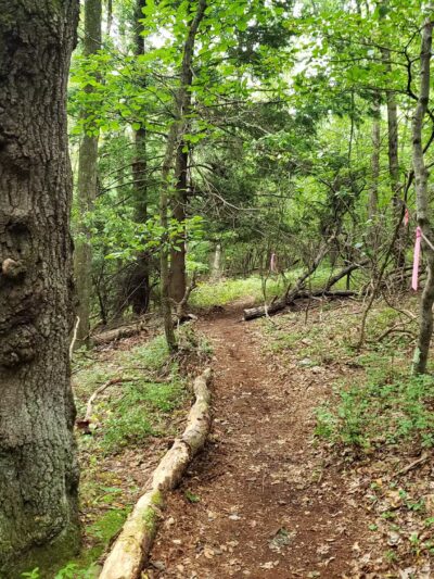 West End Regional Park - Saylorsburg, PA