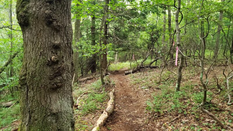 West End Regional Park - Saylorsburg, PA