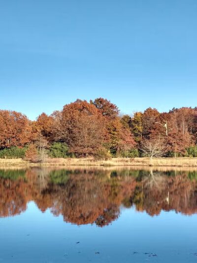 Bailey Park - Sayreville, NJ