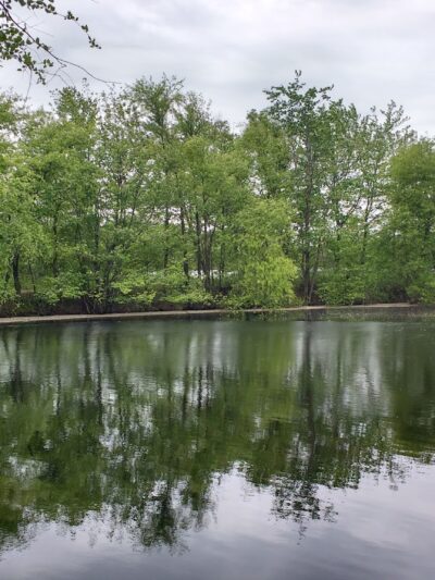 Julian L. Capik Nature Preserve - Sayreville, NJ