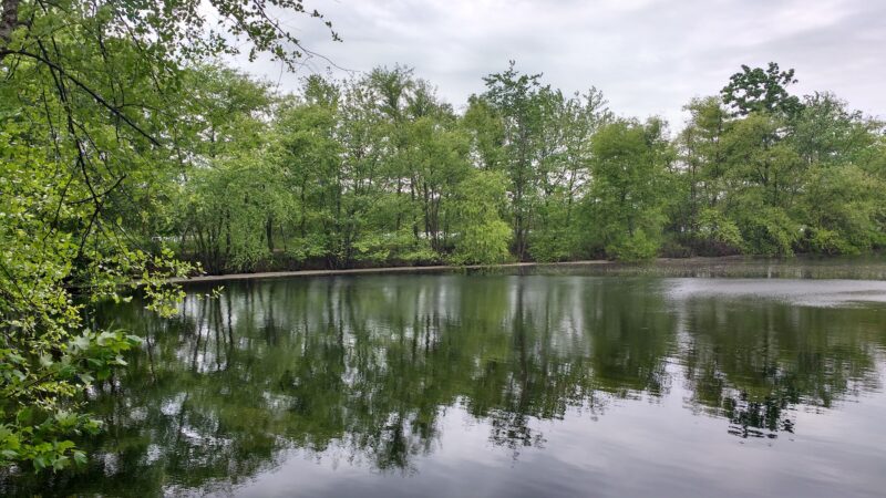 Julian L. Capik Nature Preserve - Sayreville, NJ