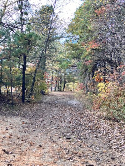 Julian L. Capik Nature Preserve - Sayreville, NJ