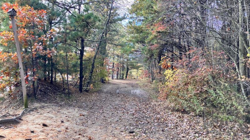 Julian L. Capik Nature Preserve - Sayreville, NJ