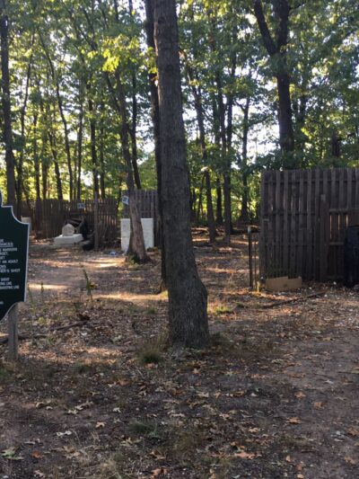 Julian L. Capik Nature Preserve - Sayreville, NJ