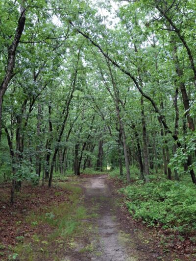 Julian L. Capik Nature Preserve - Sayreville, NJ