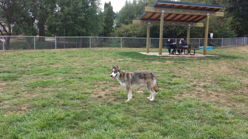 Scappoose Veterans Park - Dog Park - Scappoose, OR