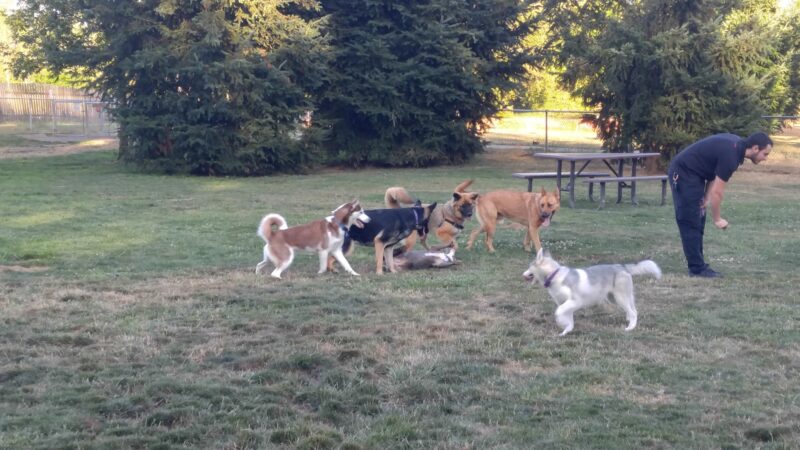 Scappoose Veterans Park - Dog Park - Scappoose, OR