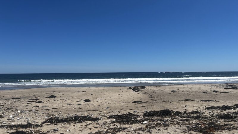 Scarborough Beach State Park - Scarborough, ME