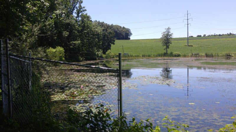 Johnson's Pond Wildlife Park - Schnecksville, PA