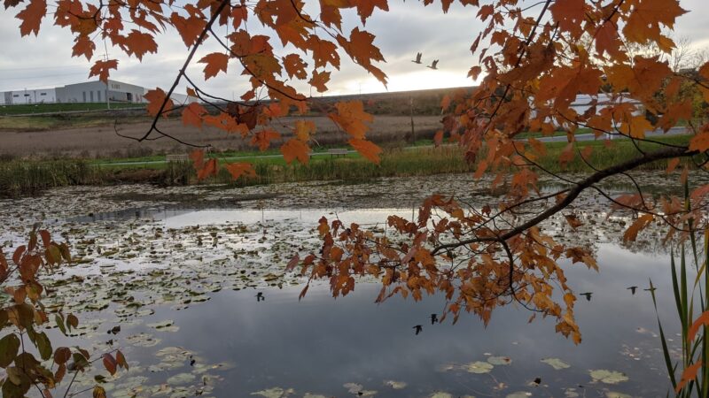Johnson's Pond Wildlife Park - Schnecksville, PA