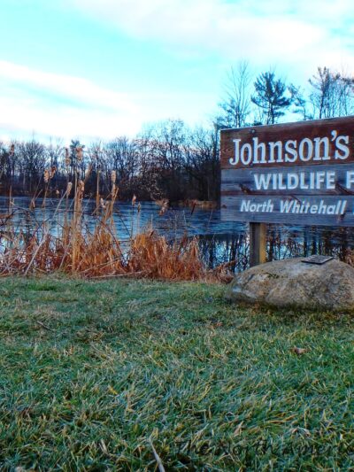 Johnson's Pond Wildlife Park - Schnecksville, PA
