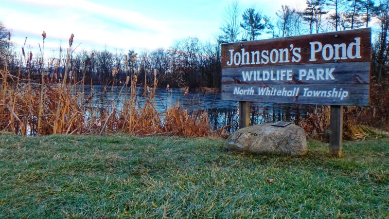 Johnson's Pond Wildlife Park - Schnecksville, PA