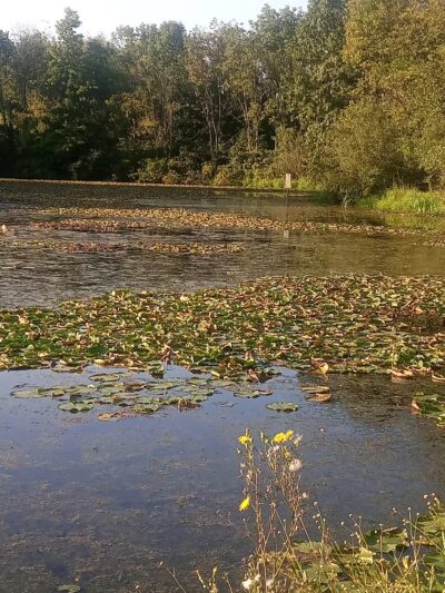 Johnson's Pond Wildlife Park - Schnecksville, PA