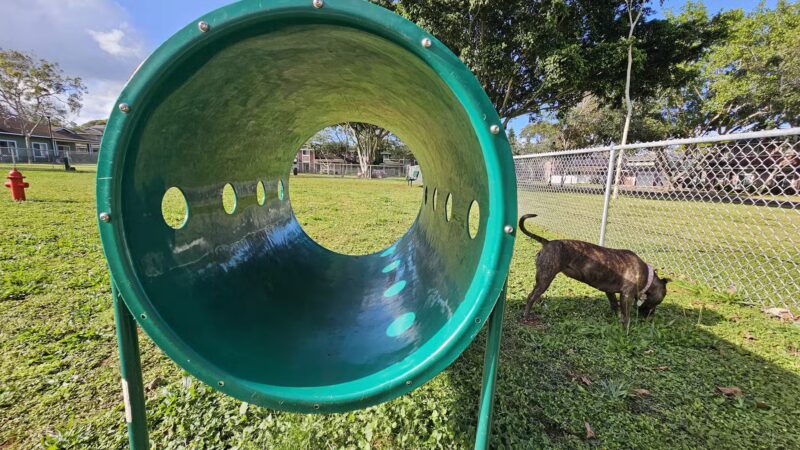 Schofield Barracks Dog Park - Schofield Barracks, HI
