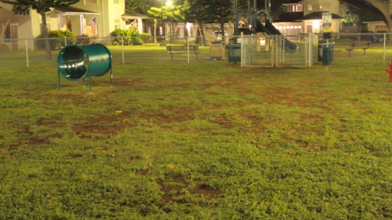 Schofield Dog Park - Schofield Barracks, HI