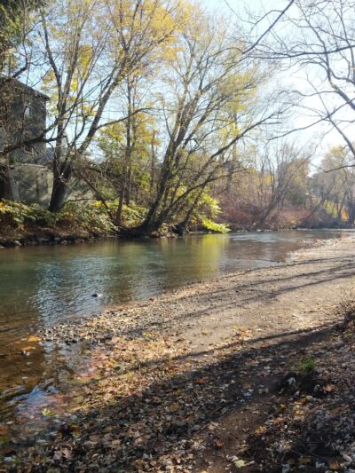 Island Park Complex - Schuylkill Haven, PA