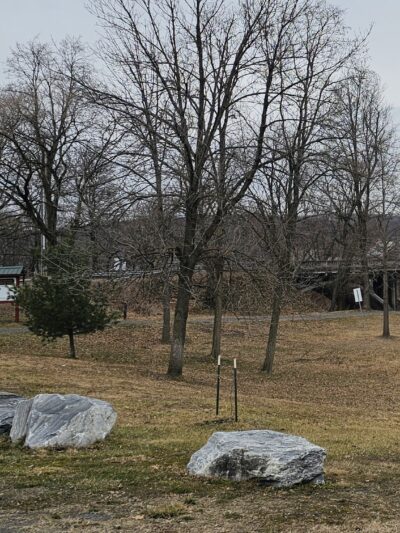 Schuylkill Haven Island Park - Schuylkill Haven, PA