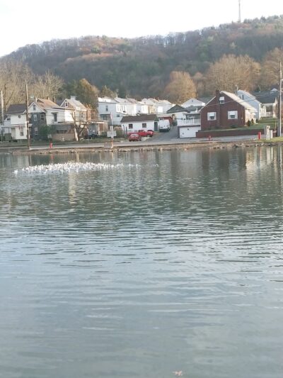 War Memorial at Bubeck Park - Schuylkill Haven, PA