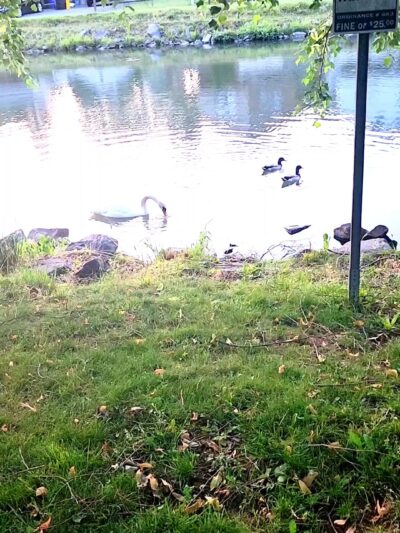 War Memorial at Bubeck Park - Schuylkill Haven, PA