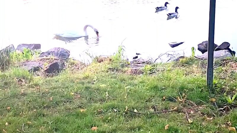 War Memorial at Bubeck Park - Schuylkill Haven, PA