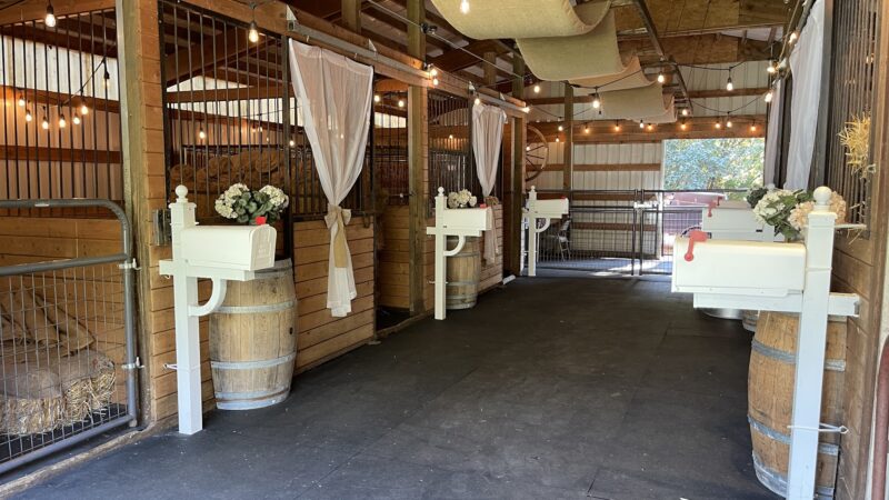 RidgeStables LLC Doggie daycare and pet boarding - Scio, OR