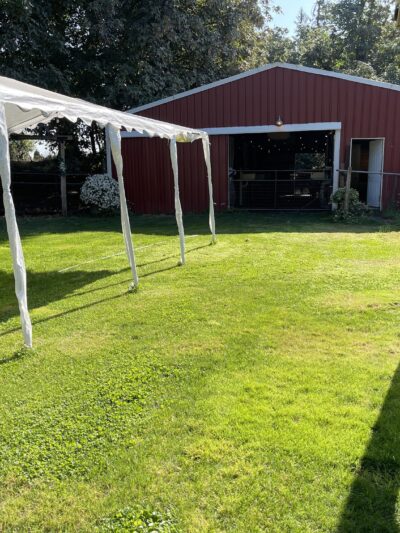 RidgeStables LLC Doggie daycare and pet boarding - Scio, OR
