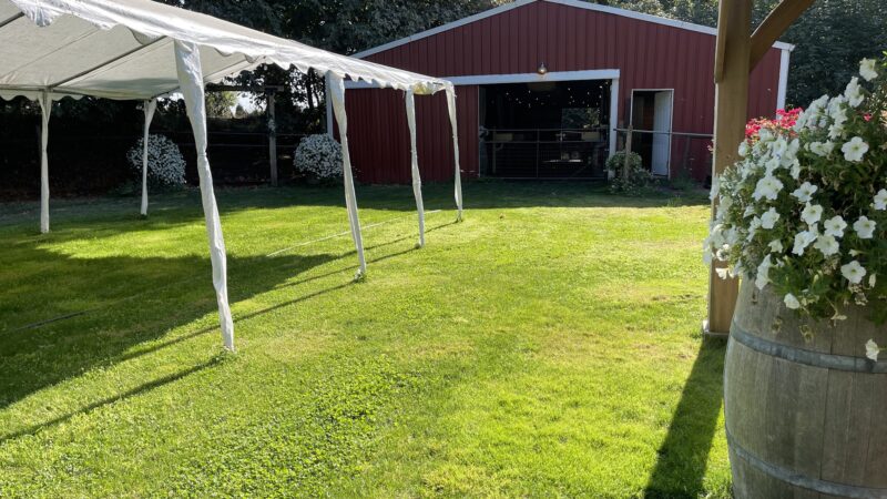 RidgeStables LLC Doggie daycare and pet boarding - Scio, OR