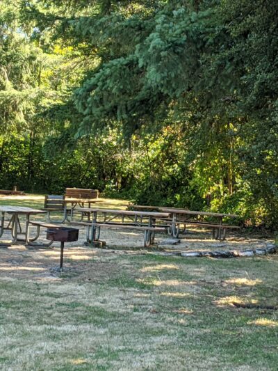 Roaring River County Park - Scio, OR