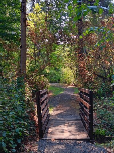Roaring River County Park - Scio, OR