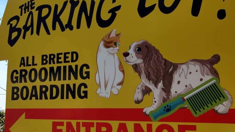 Poconos Barking Lot - Sciota, PA