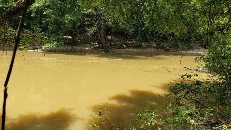 Banister River North Wildlife Management Area - Scottsburg, VA