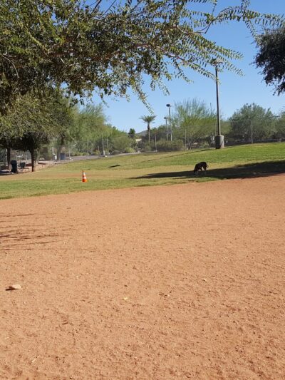 Horizon Dog Park - Scottsdale, AZ