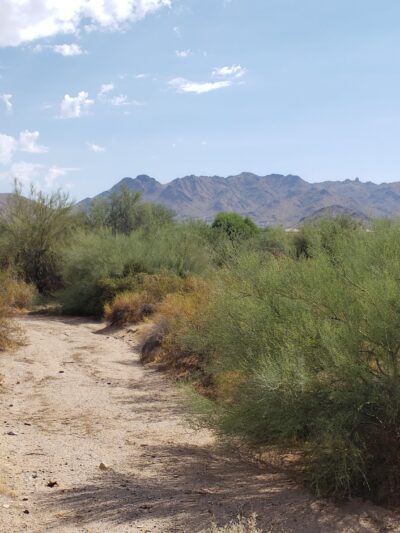 Ironwood Park - Scottsdale, AZ
