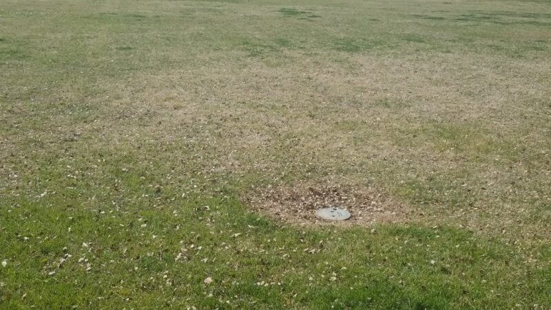 Kierland Park - Scottsdale, AZ