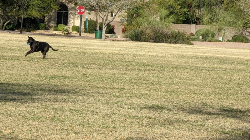 Kierland Park - Scottsdale, AZ