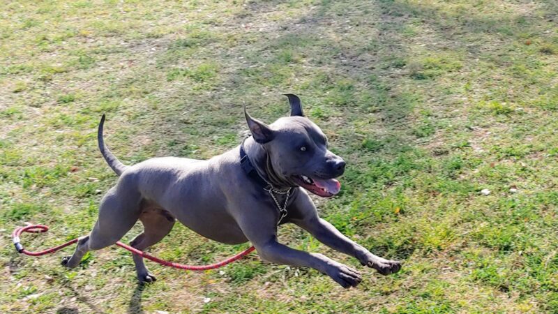 Kierland Park - Scottsdale, AZ