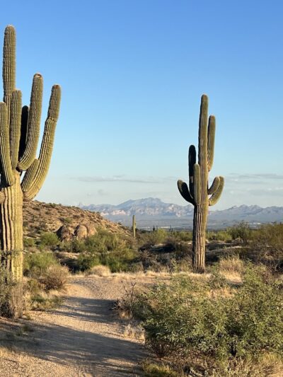 Tom's Thumb Trailhead - Scottsdale, AZ
