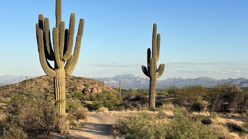 Tom's Thumb Trailhead - Scottsdale, AZ