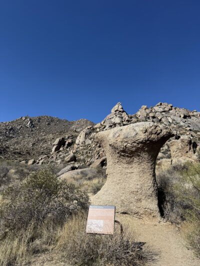 Tom's Thumb Trailhead - Scottsdale, AZ
