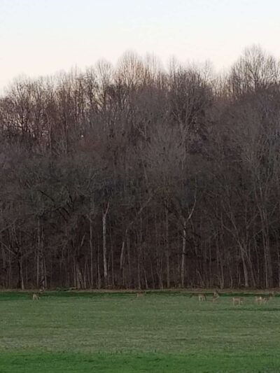 Dugas Community Park - Scottsville, KY